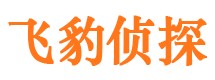 武功市侦探调查公司